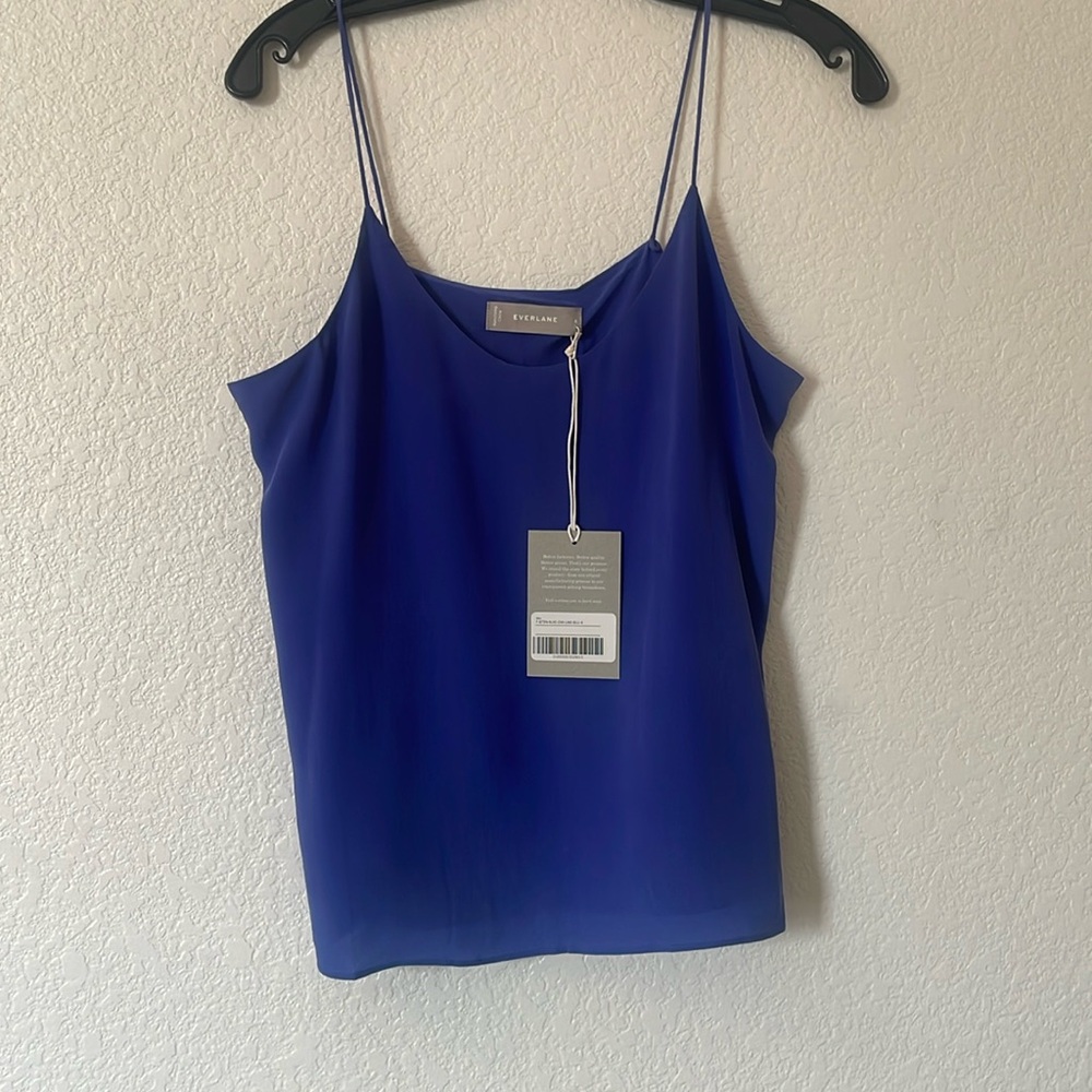 Everlane blue silk cami